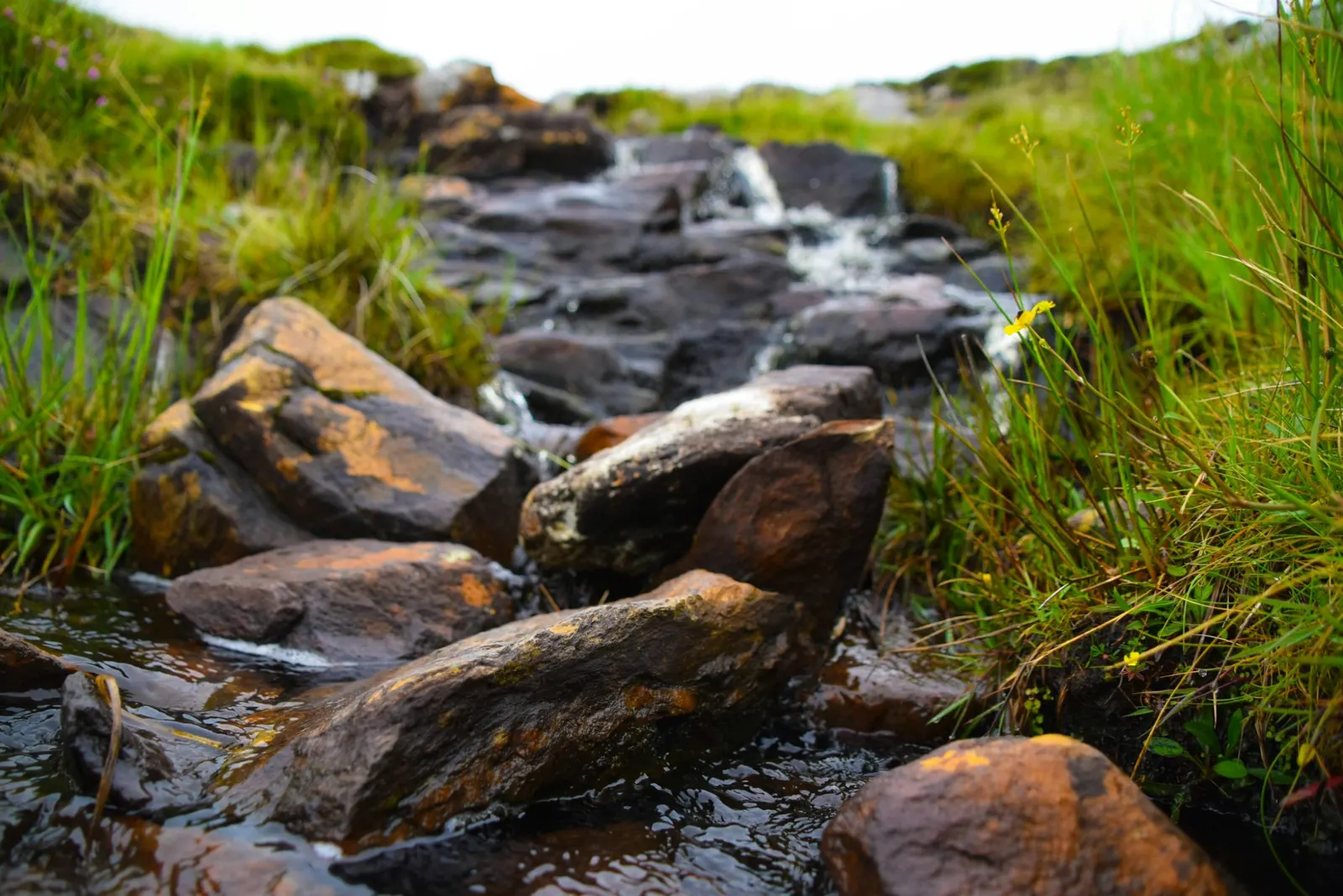 Water moving around stones in a stream