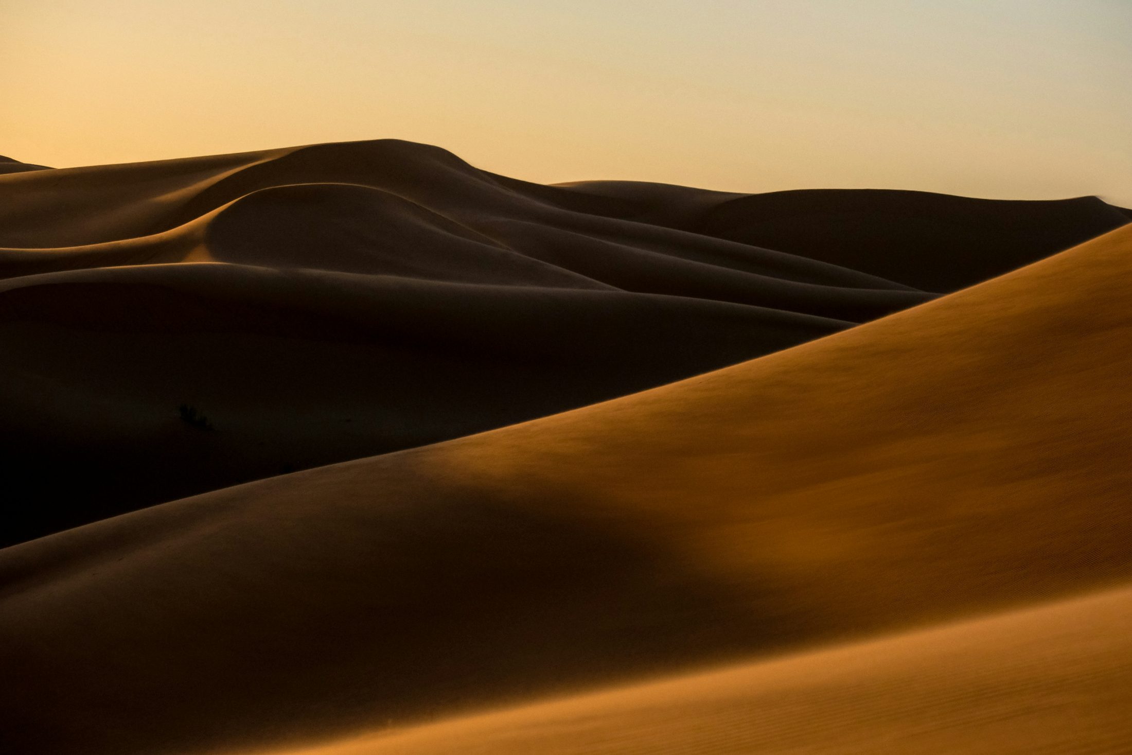 Sand dunes in low golden light